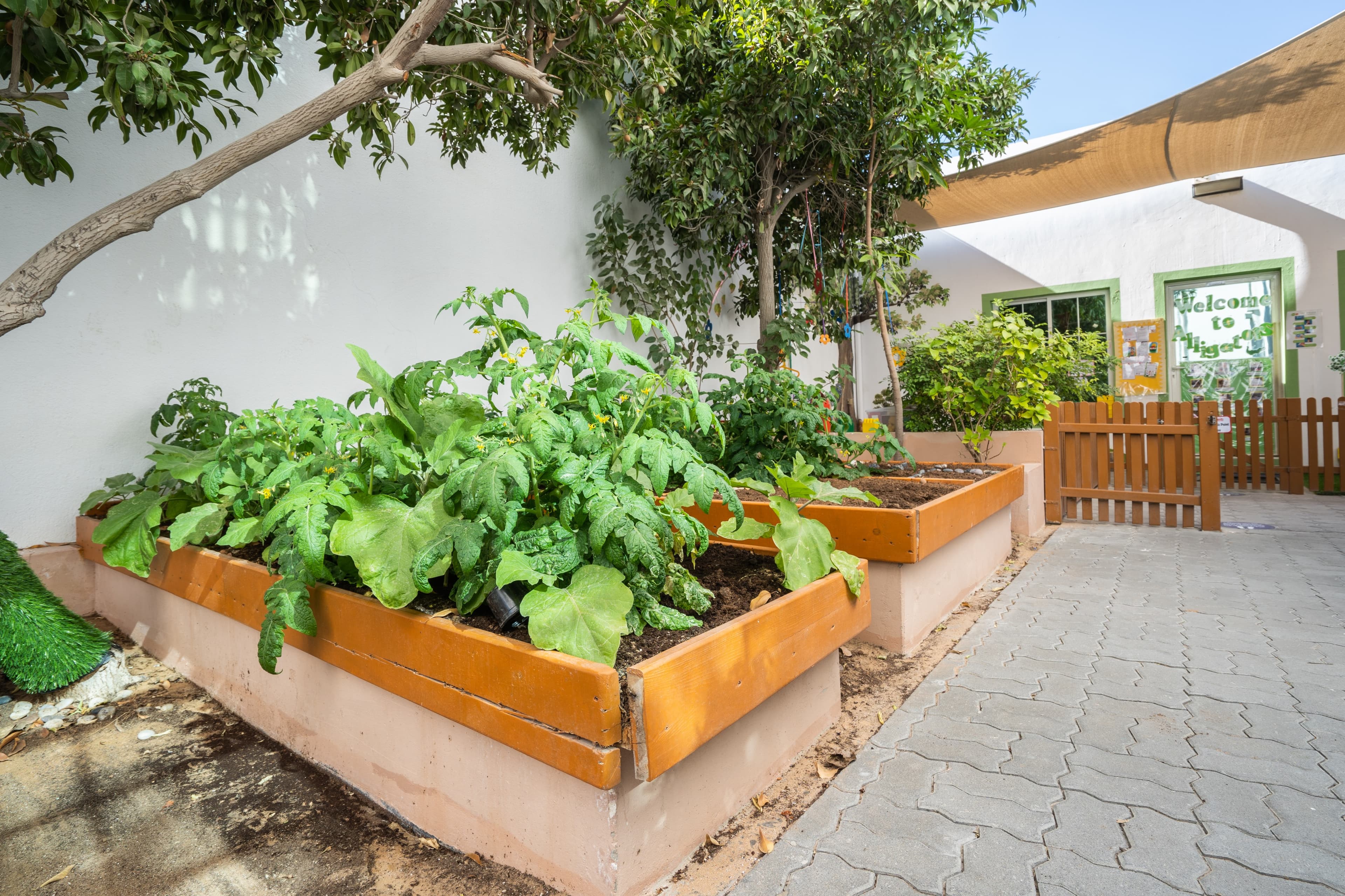 Vegetable garden patch