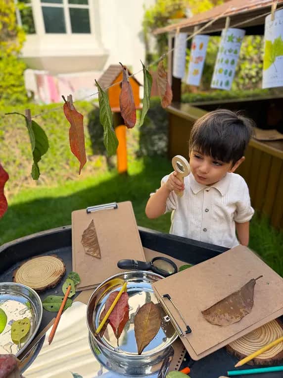 Curiosity Cottage Children learning at Curiosity Cottage, Forest Oasis Nursery