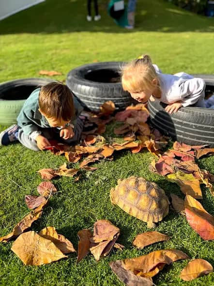 Explorers Ground Children playing at Explorers Ground, Forest Oasis Nursery